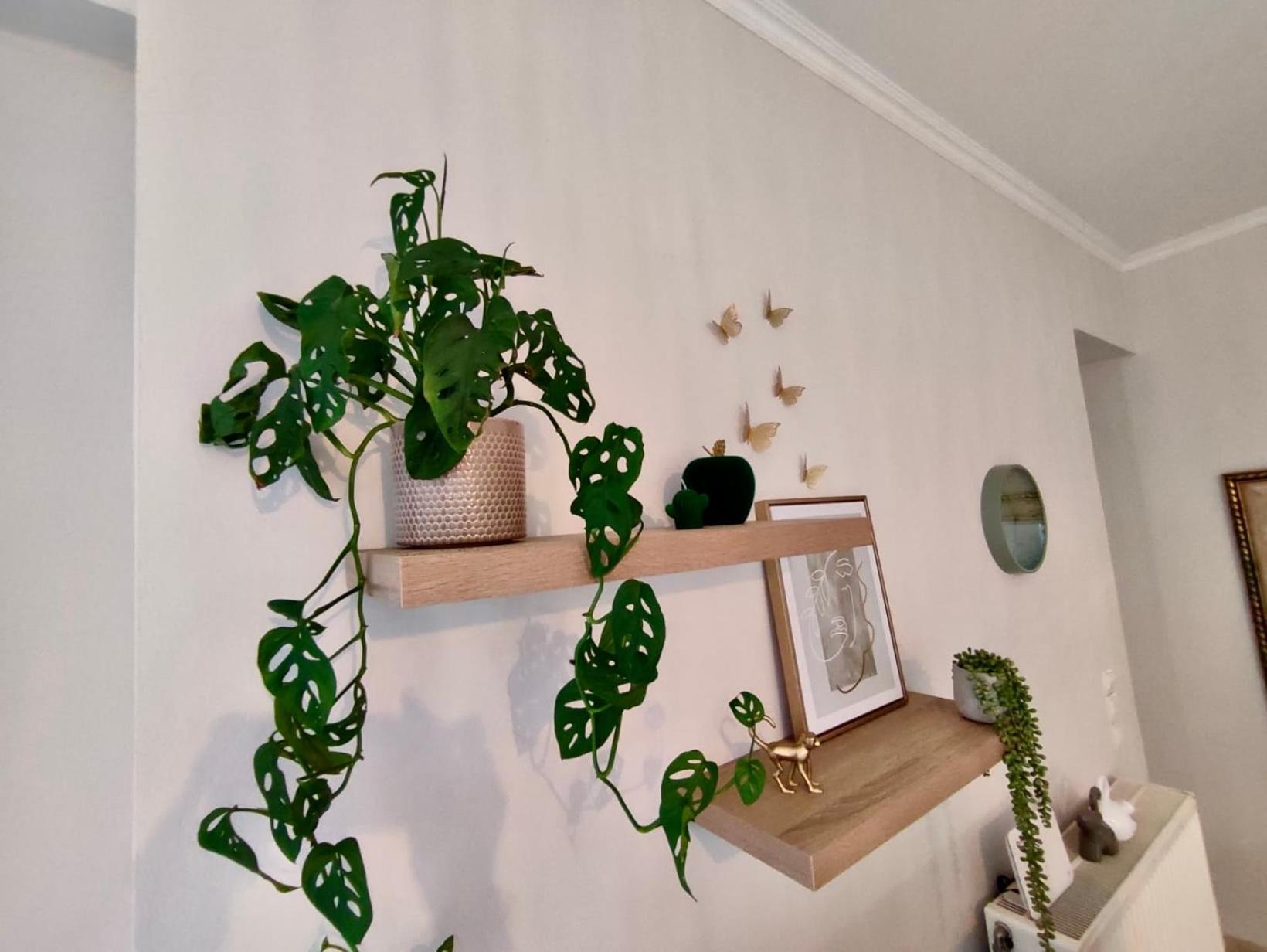 Tzitzifianaki Cozy Apartment Chania  Exteriör bild